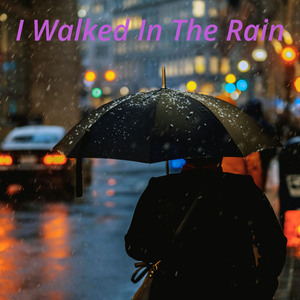 I Walked In The Rain