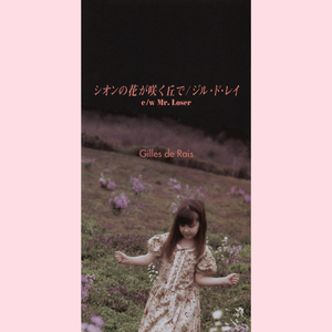 シオンの花が咲く丘で