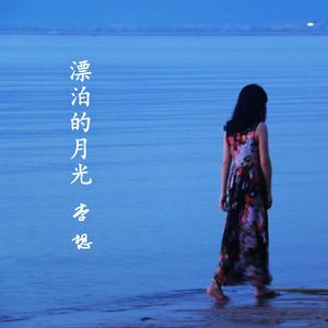 漂泊的月光