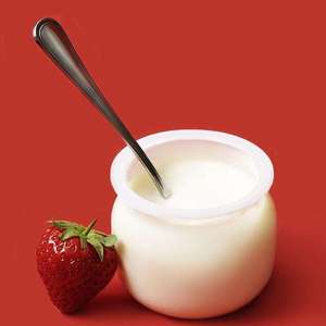 Plain Yoghurt（纯电音版）
