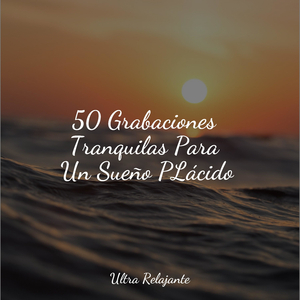 Felicidad Efervescente