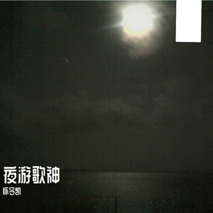 夜游歌神