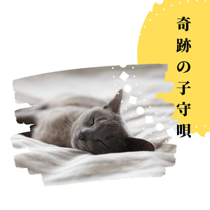 流れるような清涼感