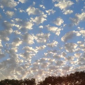 夏天的风（翻自 温岚）