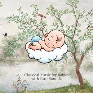Kinderszenen No. 3 in B Minor, Op. 15: Blind Man's Buff