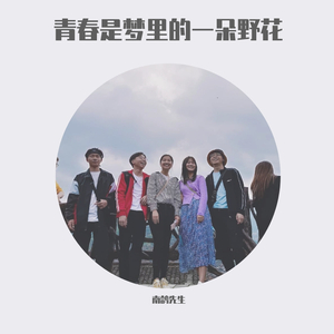 青春是梦里的一朵野花