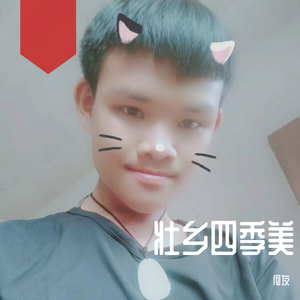 壮乡四季美 (广场舞版)