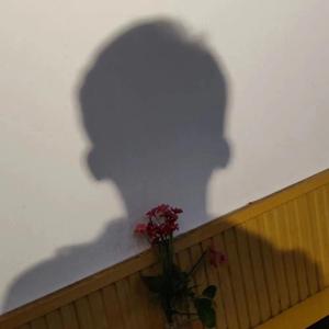 今天也想见到你-波波