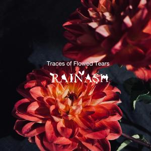 Traces of Flowed Tears