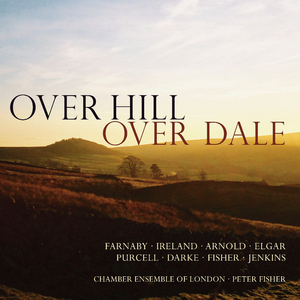 Concerto for 2 Violins & String Orchestra, Op. 77:I. Allegro risoluto