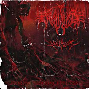 MORTAL MISCONCEPTIONS