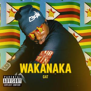 Wakanaka (GQOM)