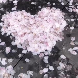 花开花落花无悔，缘起缘落缘不回