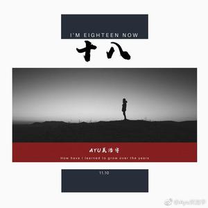 flow show （freestyle）