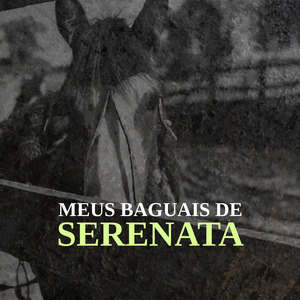 Meus Baguais de Serenata