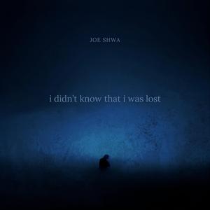 i didn't know that i was lost