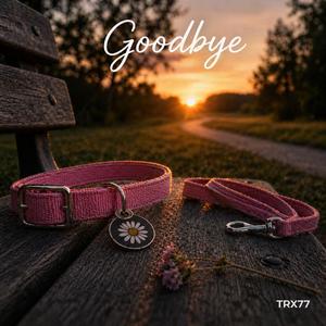 Goodbye
