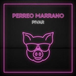 PERREO MARRANO