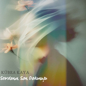 Şu Uzun Gecenin Gecesi Olsam