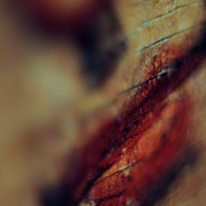 Ехали казаки