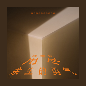 我爱你用尽余生的勇气 (伴奏)