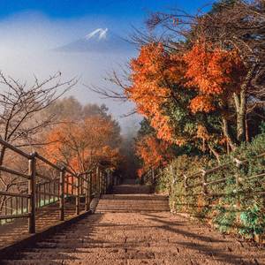 Autumn Leaves