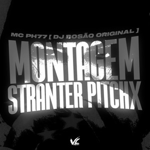 Montagem Stranter Pitchx
