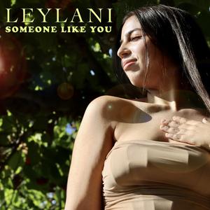 Someone Like You (Extended Mix)