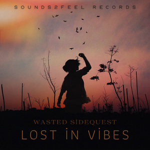 Lost In Vibes (Extended Mix)