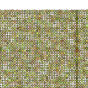 The girl who traveled for love