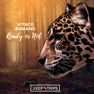 Ready Or Not (Maxim Andreev Remix)