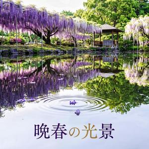 紫に宿る魔除け