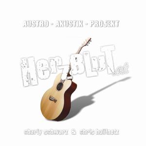 Arschloch-Song (Schiaß den Typen in Wind)