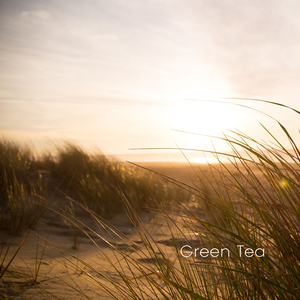바람이 나를 흔들때