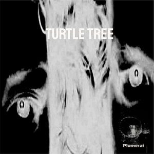 Turtle Tree