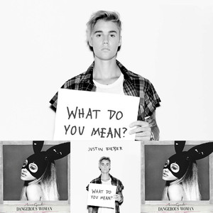 Ariana Grande / Justin Bieber - Into What ?（张晋瑞 remix）