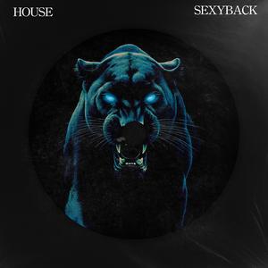 SEXYBACK (HOUSE)