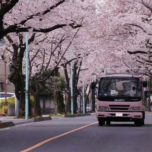 广发你不倒天理难容