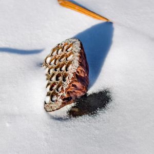 镜头里的英雄城