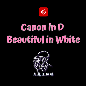 【钢琴】Canon in D x Beautiful in White
