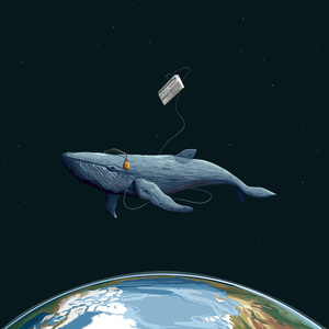 Wo gehören wir hin?