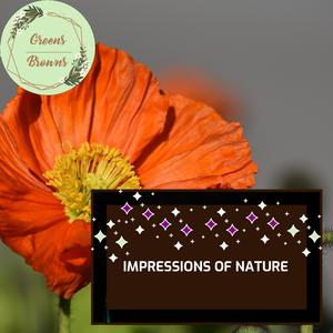 Morning Nature Waves