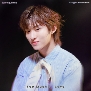 ฉันตกหลุมรักเธอ (Too Much in Love)