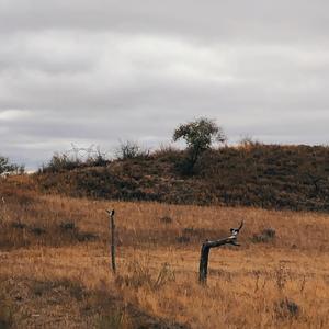 在你身边就失去超能力