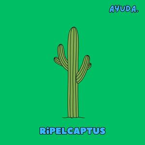 Ripelcaptus (feat. Sin Sentido) (Homenaje a el Captus)