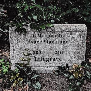 Lifegrave