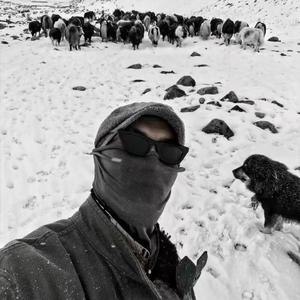 MENTE MA(哎刀马刀马刀马)