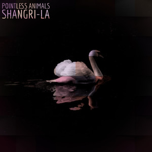 Shangri-la (Original Mix)