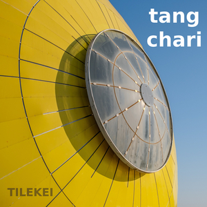 Tang Chari