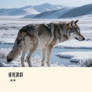 重返狼群